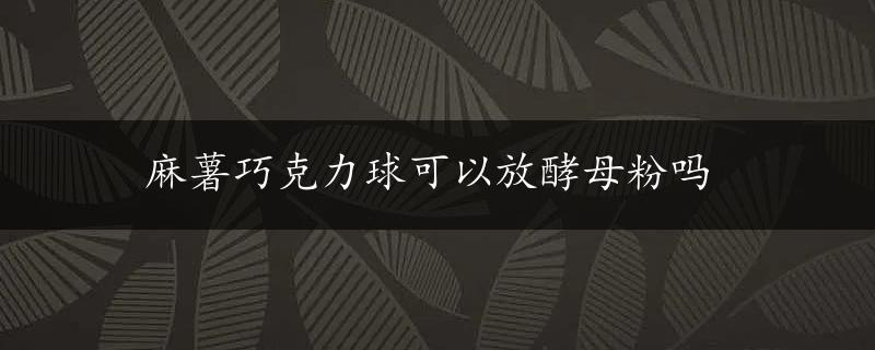 麻薯巧克力球可以放酵母粉吗