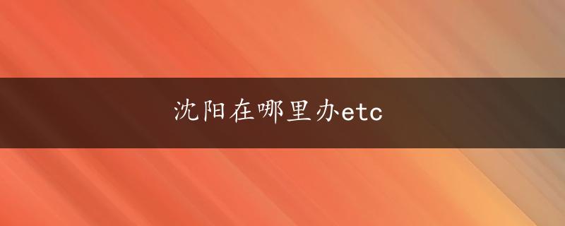 沈阳在哪里办etc