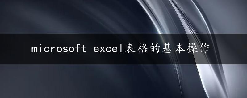 microsoft excel表格的基本操作