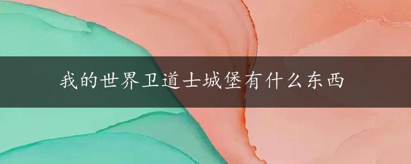 我的世界卫道士城堡有什么东西