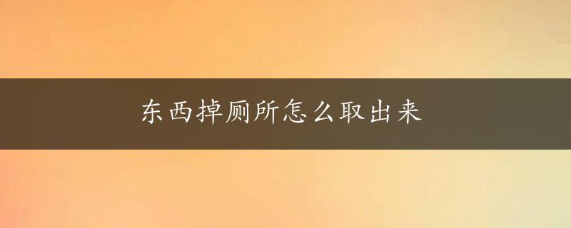 东西掉厕所怎么取出来