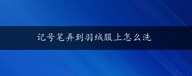 记号笔弄到羽绒服上怎么洗