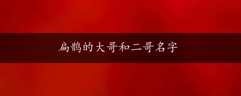 扁鹊的大哥和二哥名字