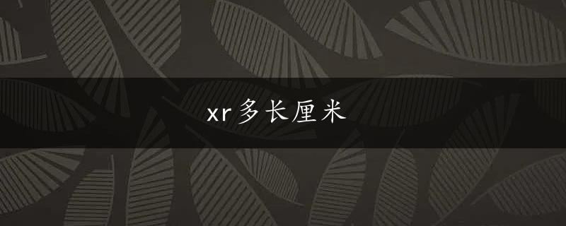 xr多长厘米