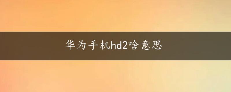 华为手机hd2啥意思