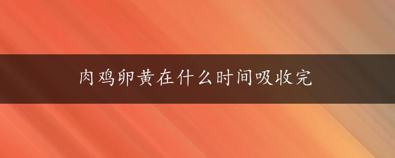 肉鸡卵黄在什么时间吸收完