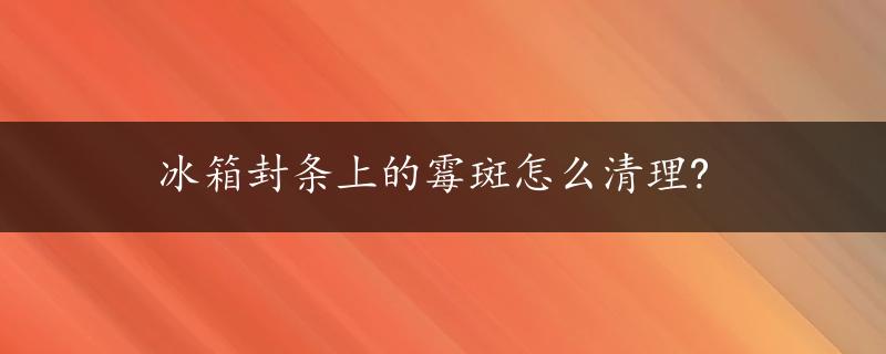 冰箱封条上的霉斑怎么清理?