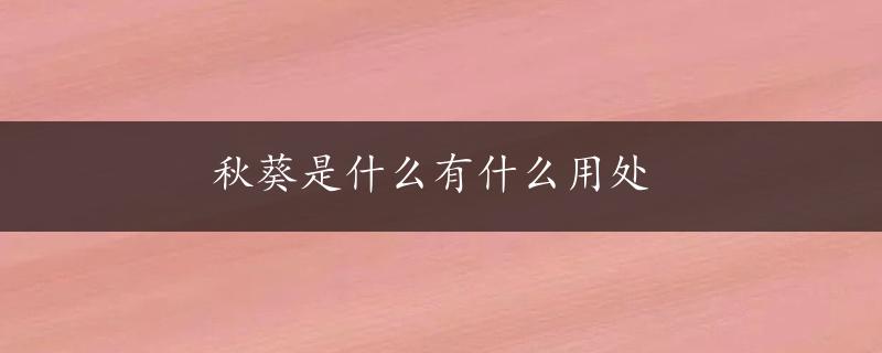 秋葵是什么有什么用处