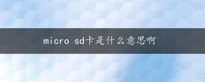 micro sd卡是什么意思啊