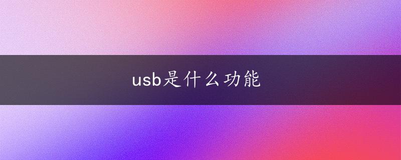 usb是什么功能