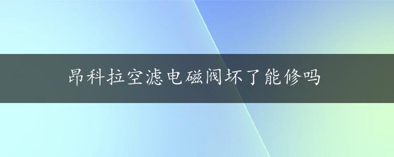 昂科拉空滤电磁阀坏了能修吗