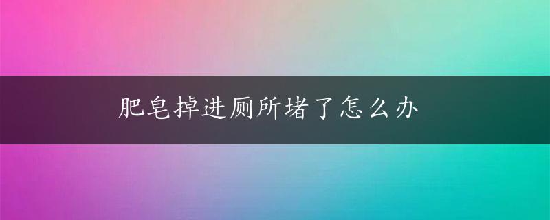 肥皂掉进厕所堵了怎么办