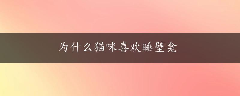 为什么猫咪喜欢睡壁龛