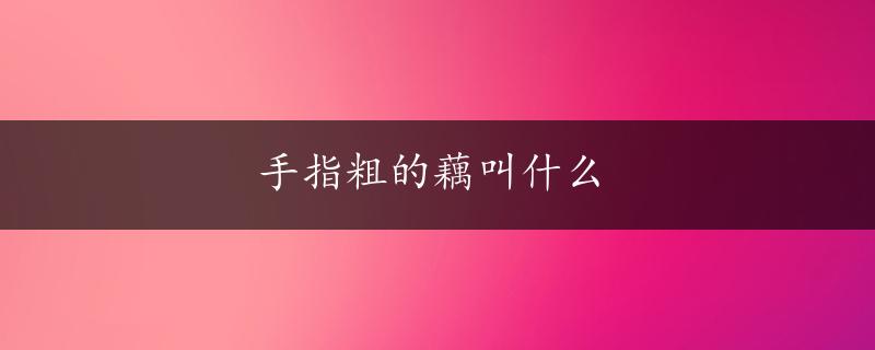 手指粗的藕叫什么