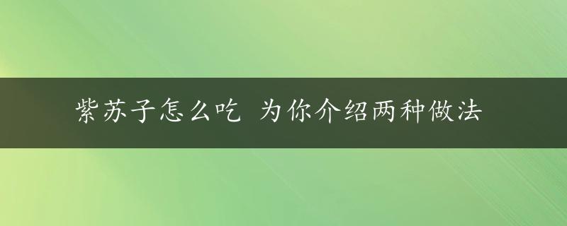 紫苏子怎么吃 为你介绍两种做法