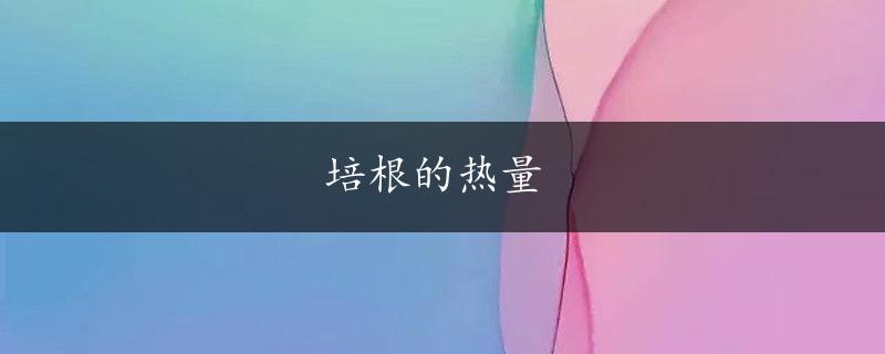 培根的热量