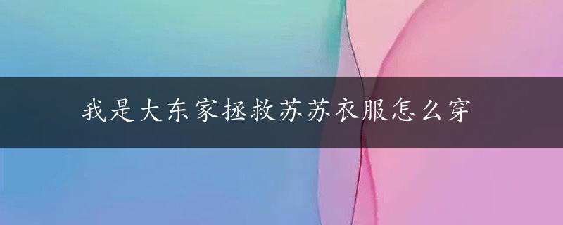 我是大东家拯救苏苏衣服怎么穿