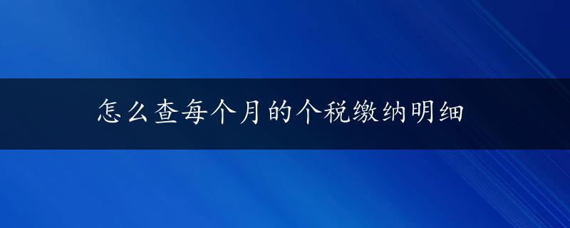 怎么查每个月的个税缴纳明细