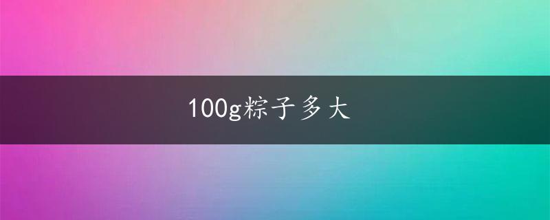 100g粽子多大