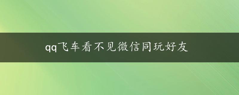 qq飞车看不见微信同玩好友