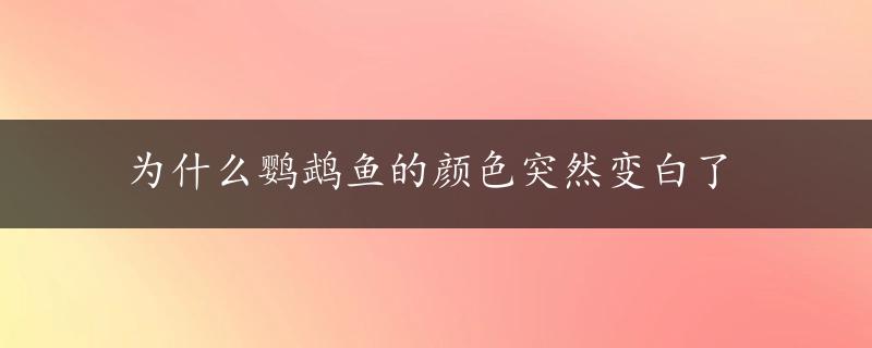 为什么鹦鹉鱼的颜色突然变白了