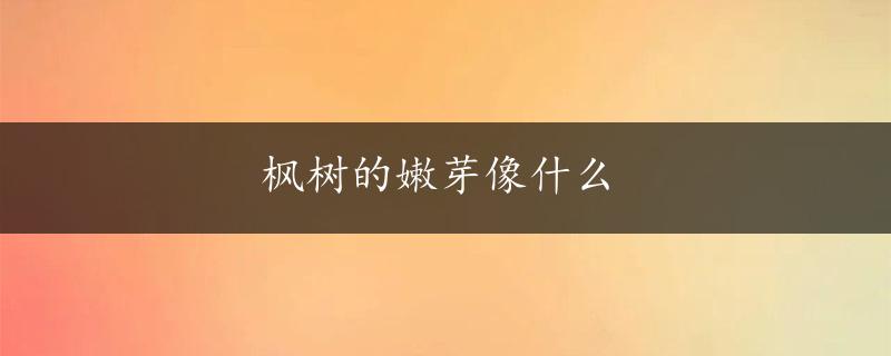 枫树的嫩芽像什么