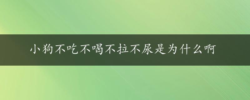 小狗不吃不喝不拉不尿是为什么啊