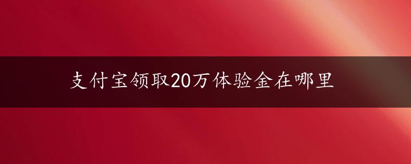 支付宝领取20万体验金在哪里