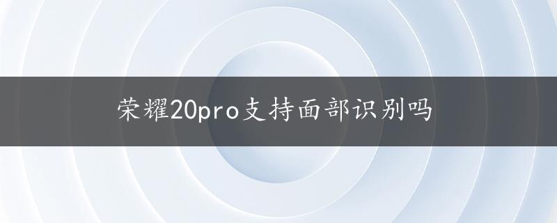 荣耀20pro支持面部识别吗