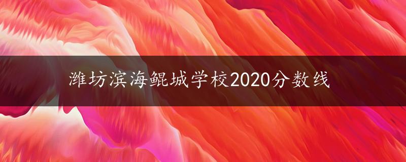 潍坊滨海鲲城学校2020分数线