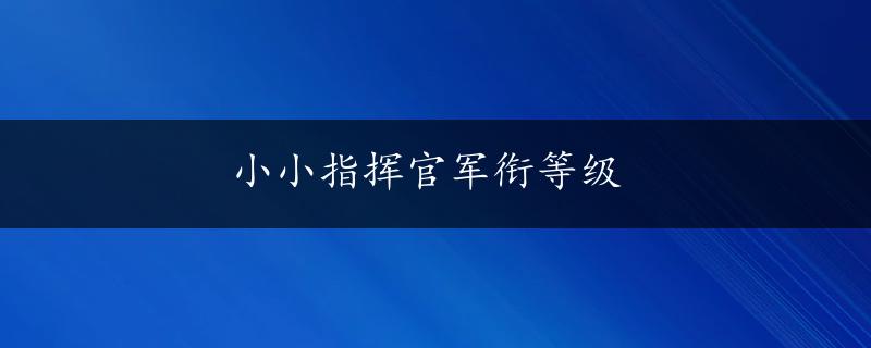 小小指挥官军衔等级