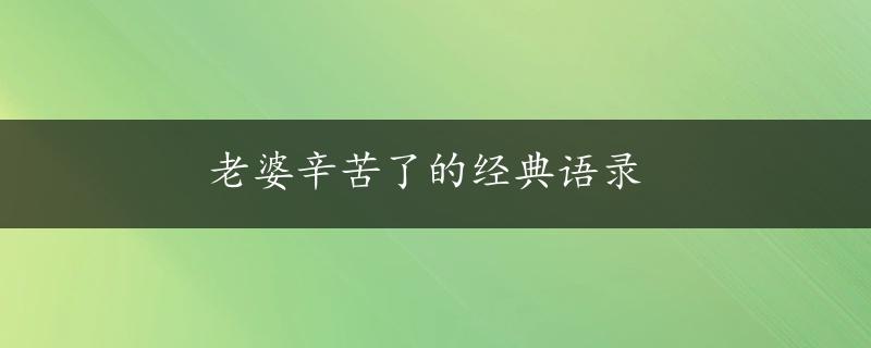 老婆辛苦了的经典语录