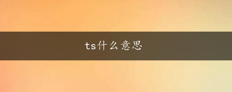 ts什么意思