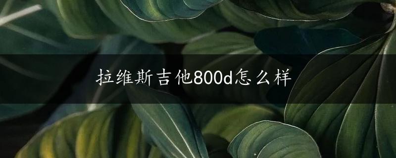 拉维斯吉他800d怎么样