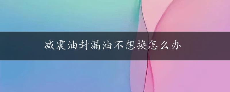 减震油封漏油不想换怎么办