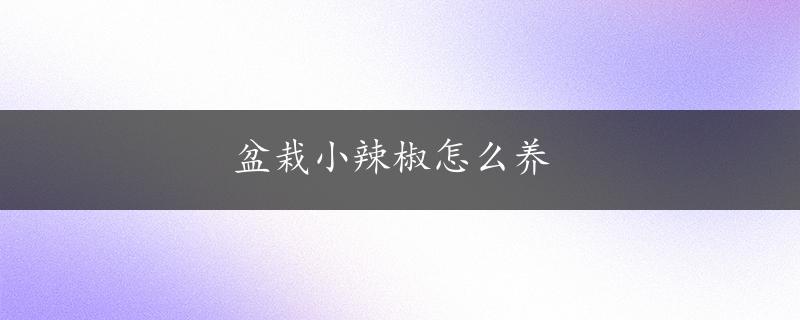 盆栽小辣椒怎么养