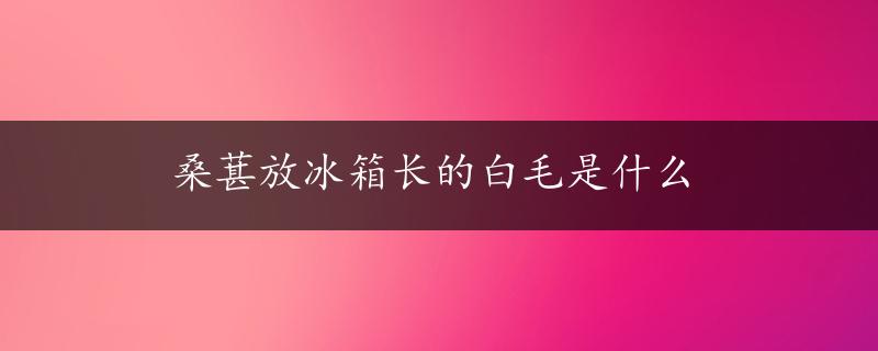 桑葚放冰箱长的白毛是什么