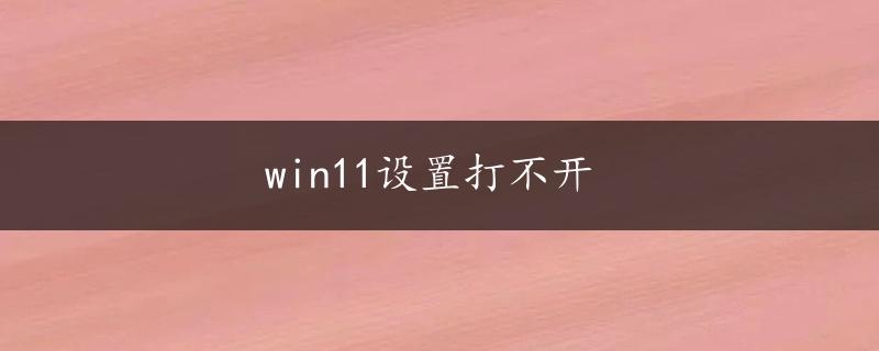 win11设置打不开