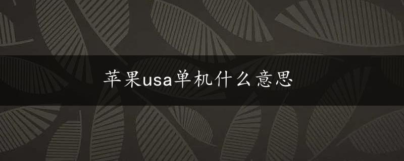 苹果usa单机什么意思