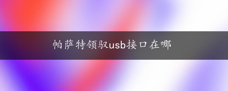 帕萨特领驭usb接口在哪