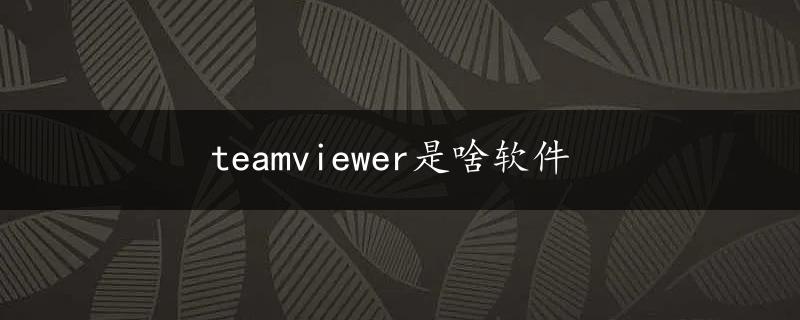 teamviewer是啥软件