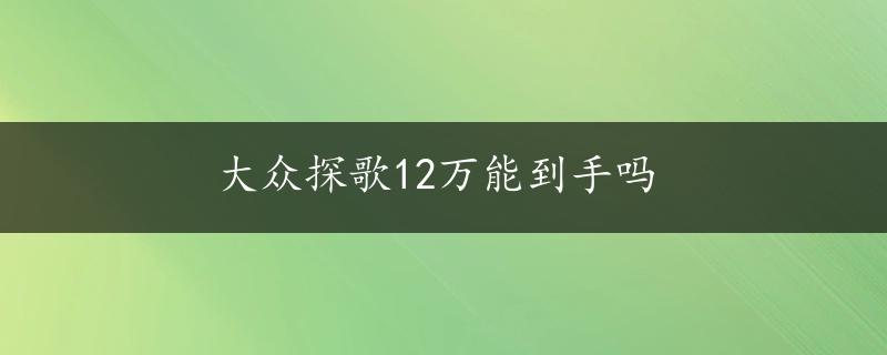 大众探歌12万能到手吗