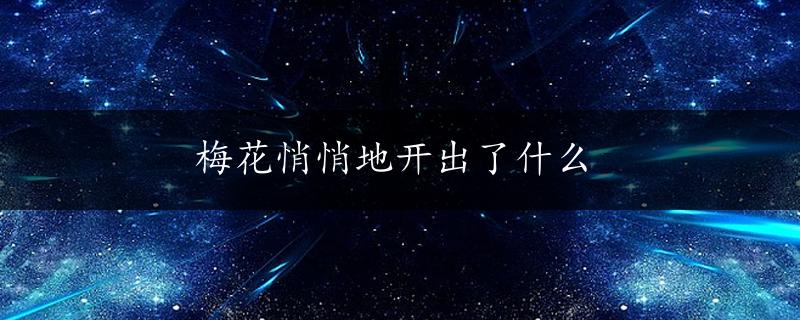 梅花悄悄地开出了什么