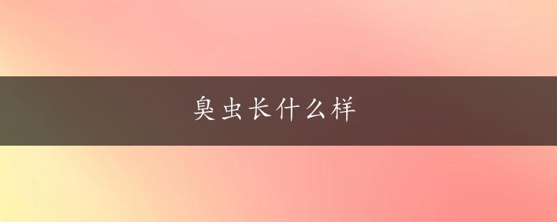 臭虫长什么样