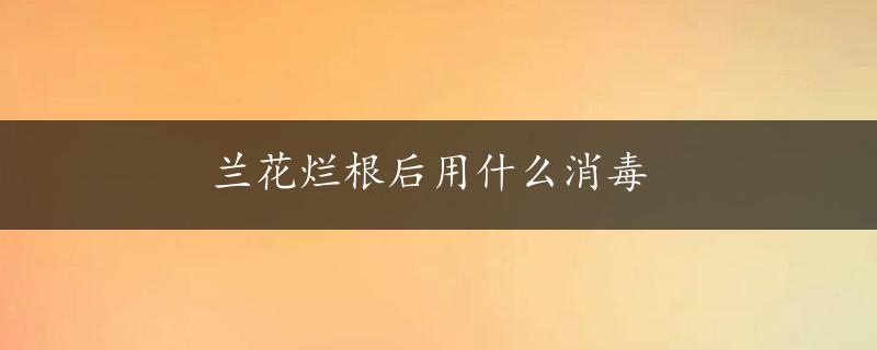 兰花烂根后用什么消毒