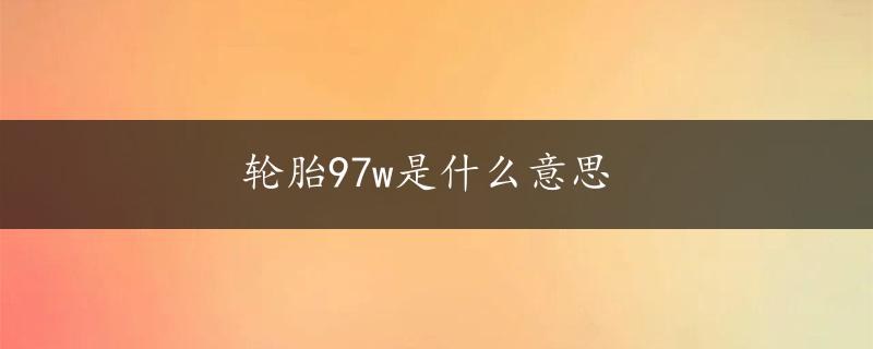 轮胎97w是什么意思