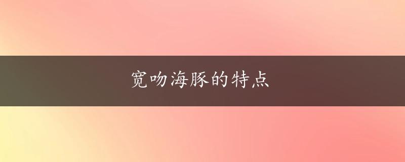 宽吻海豚的特点