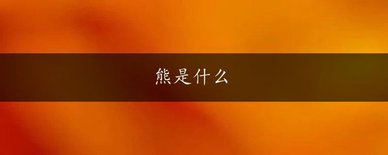 熊是什么