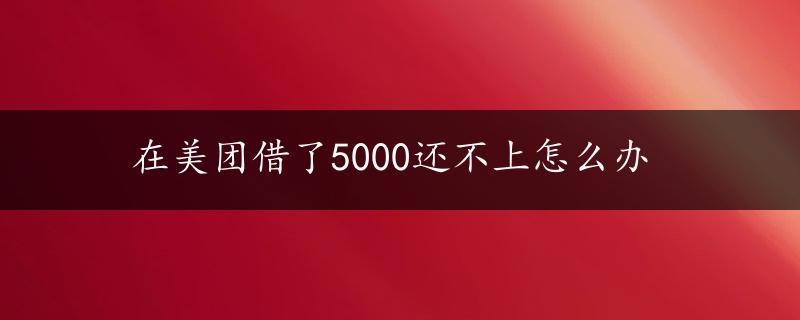 在美团借了5000还不上怎么办