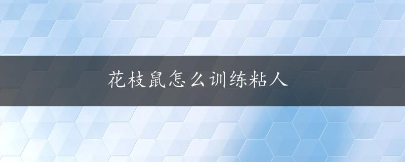 花枝鼠怎么训练粘人